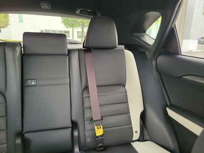 2021 Lexus NX NX 300 F SPORT