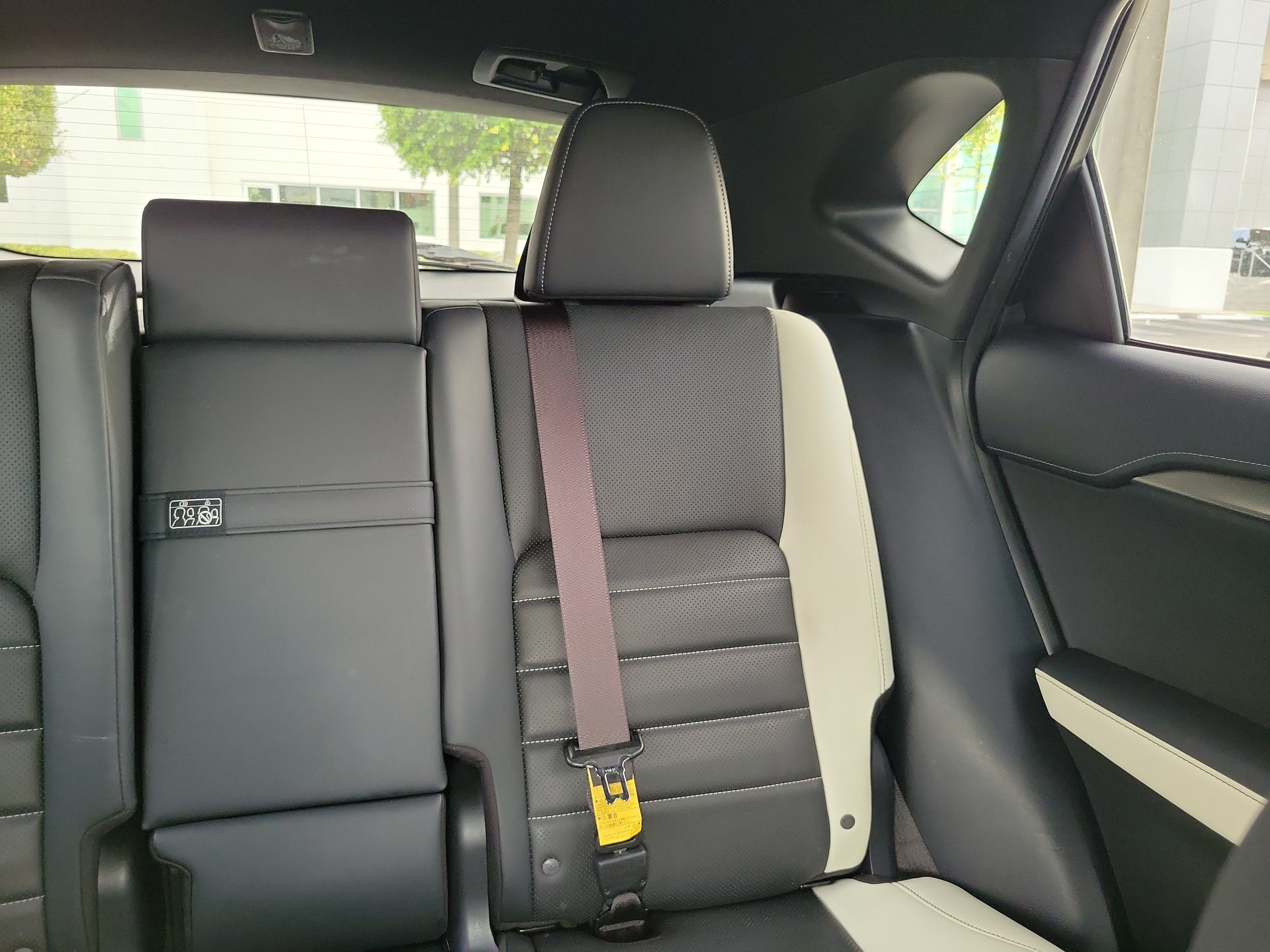 2021 Lexus NX NX 300 F SPORT